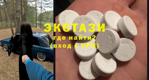 гашик Пестово